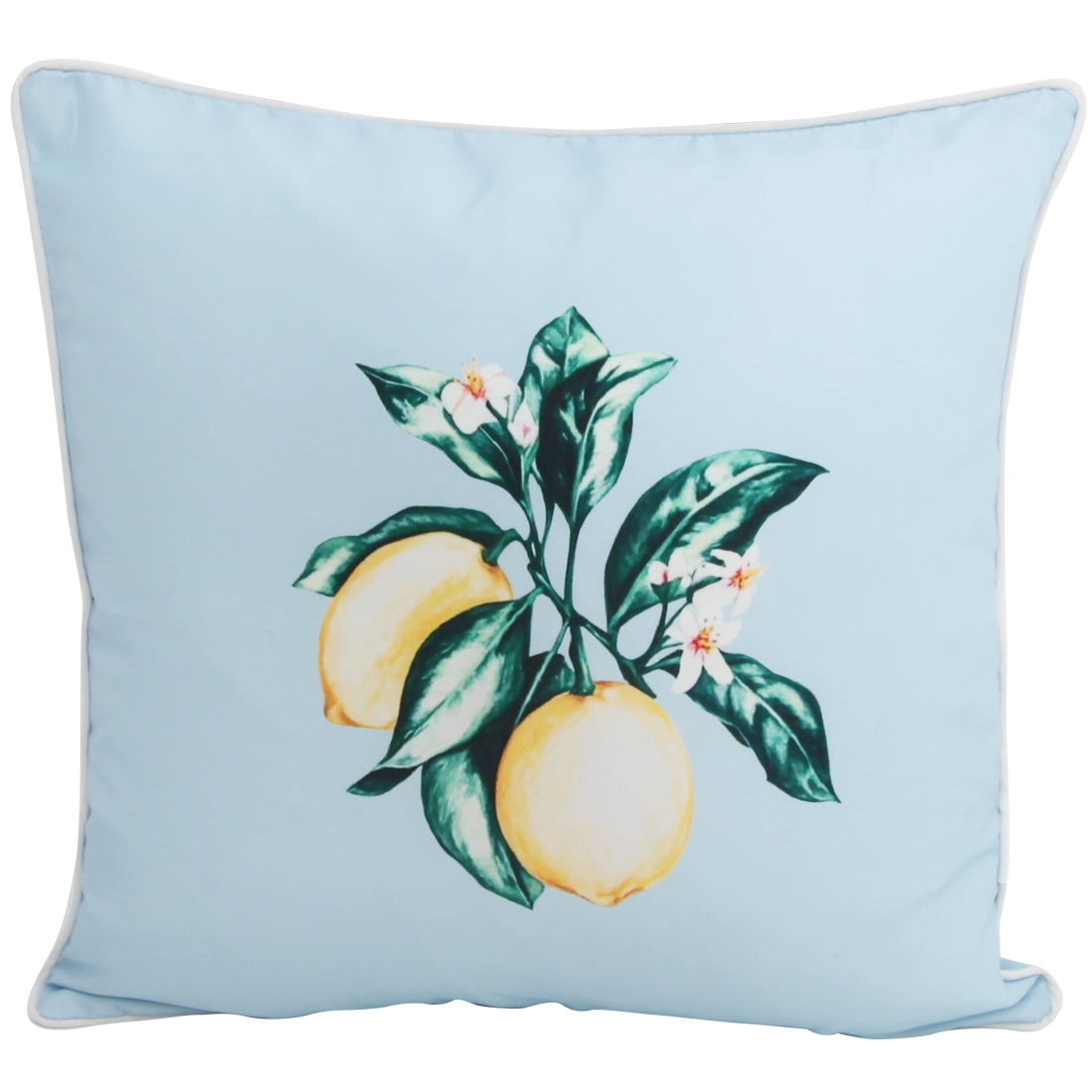 Citrus Blue outdoor cushion