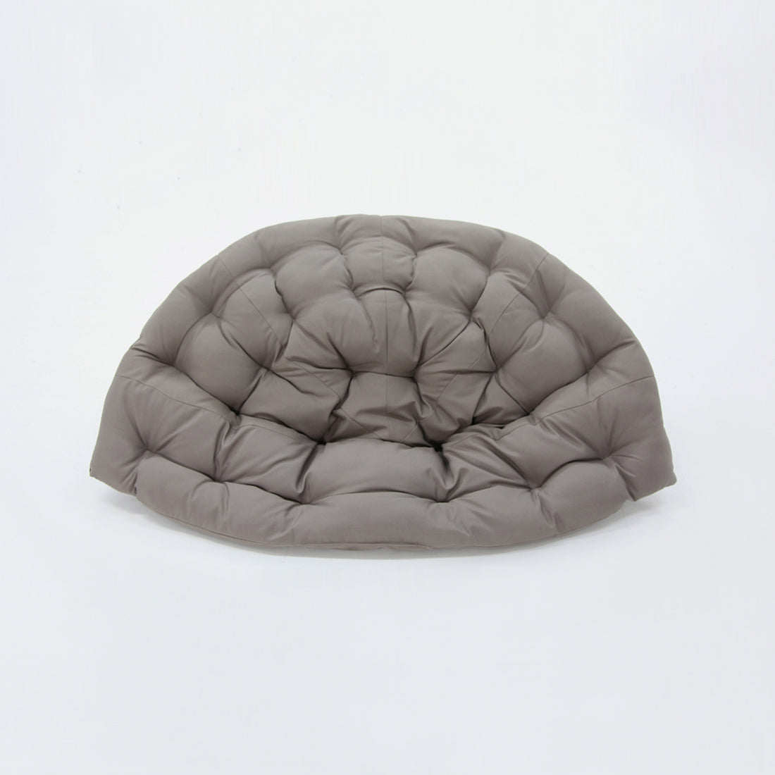 Kakadu cushion mushroom - Billy Fresh